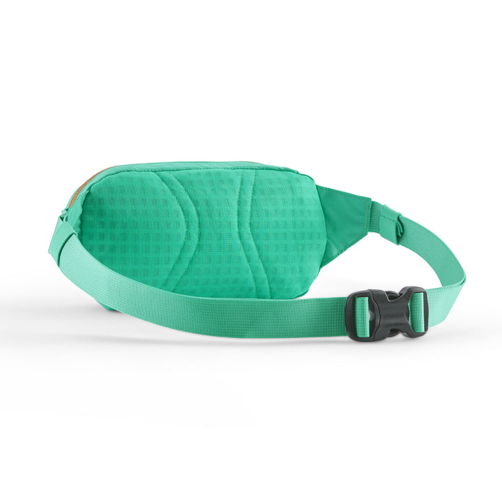 Krepšys Patagonia Terravia Mini Hip Pack, AQST, All