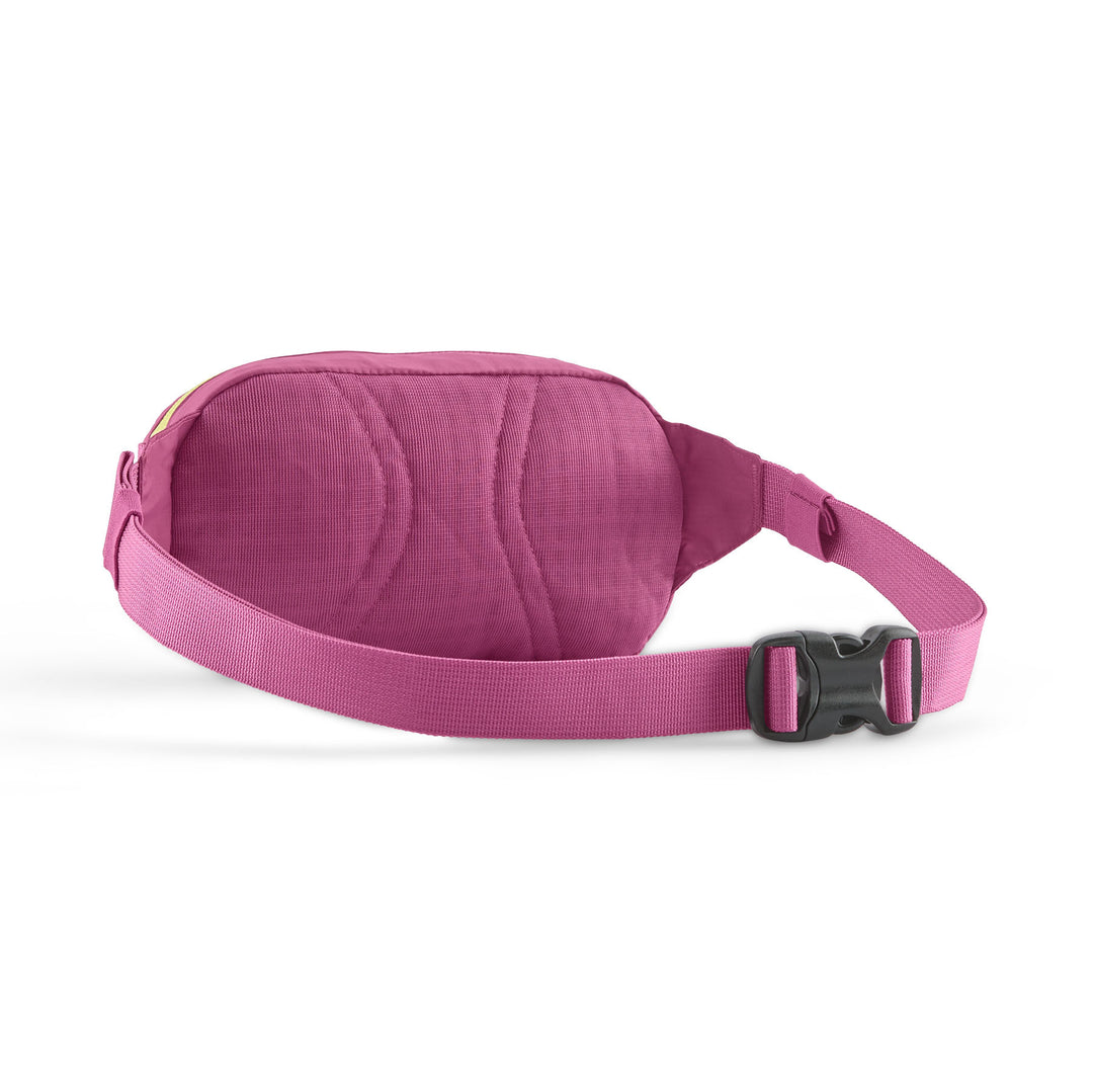 Krepšys Patagonia Terravia Mini Hip Pack, FDGM, All
